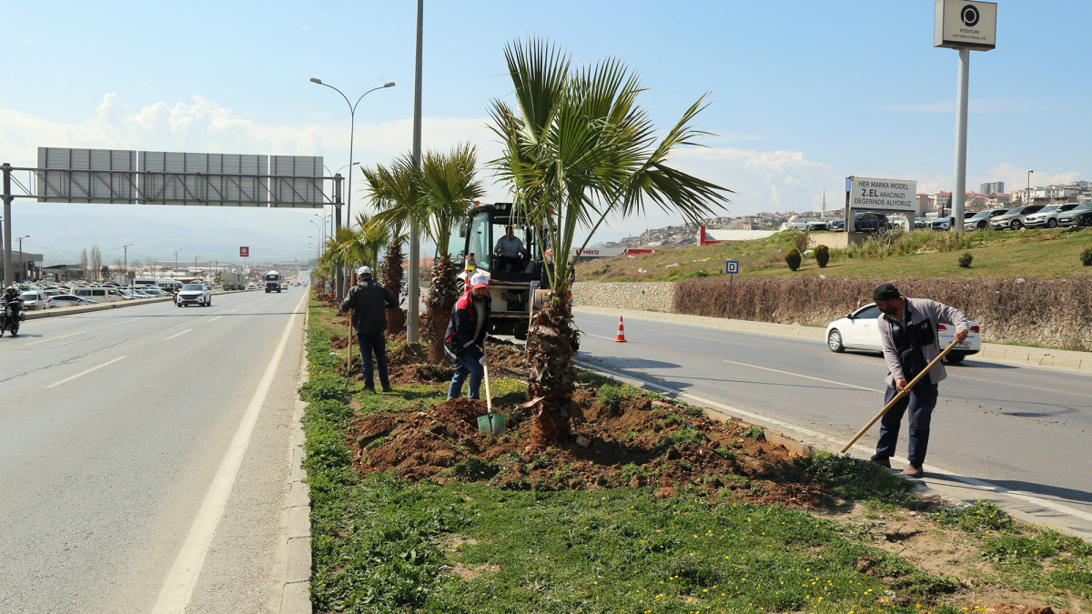 Büyükşehir’den Kahramanmaraş’a Yeşil Dokunuş: Batı Çevre Yolu’na 2 Bin Fidan